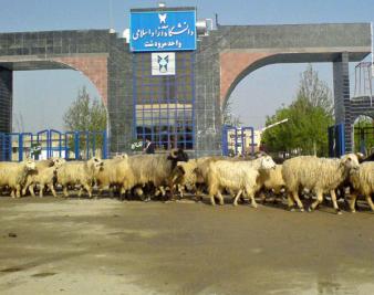 A Power Struggle in Iran