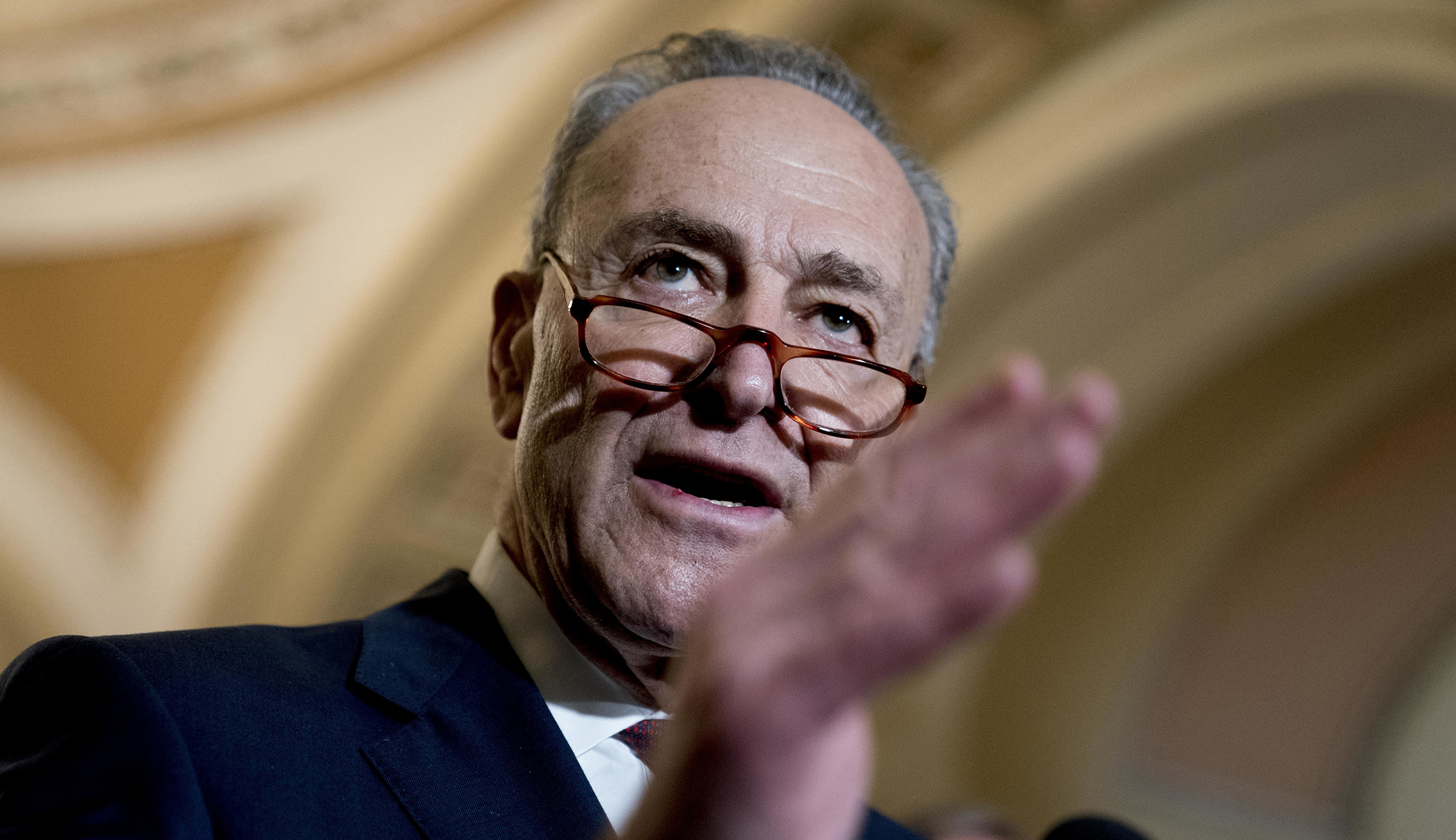 Chuck Schumer: Trump wants to ‘tear apart our legal immigration system’
