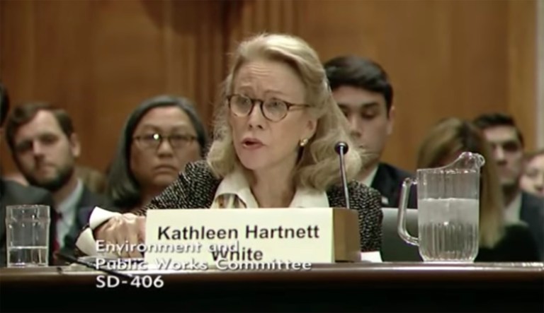 The Environment and Public Works Committee advanced Kathleen Hartnett White's nomination along a party-line vote late last month. But she is strongly opposed by Democrats. (Scnreenshot)
