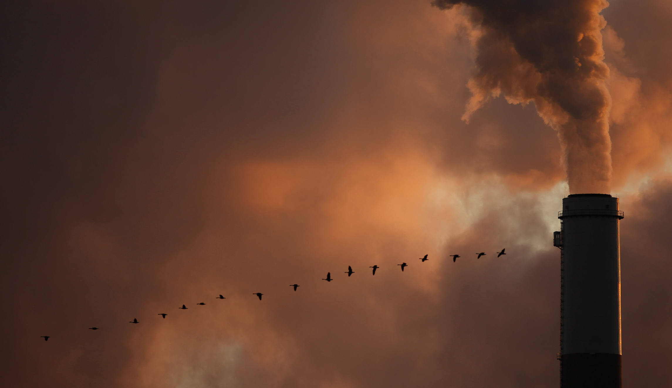 Repealing the Clean Power Plan will benefit all Americans