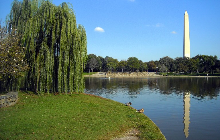 PETA sent a letter to the head of the National Park Service, urging the agency not to restock the Constitution Gardens pond or risk more inhumane cruelty to the 