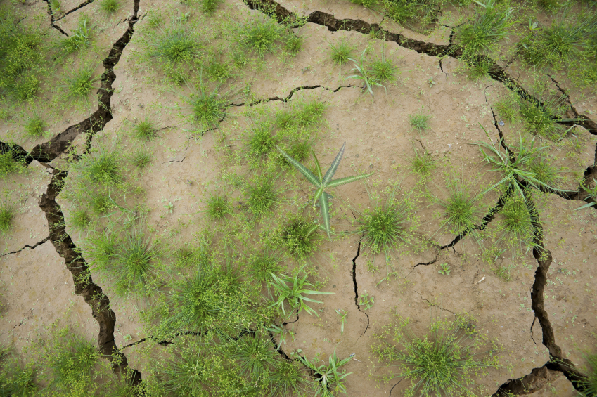 On climate change, who are the real ‘deniers’?