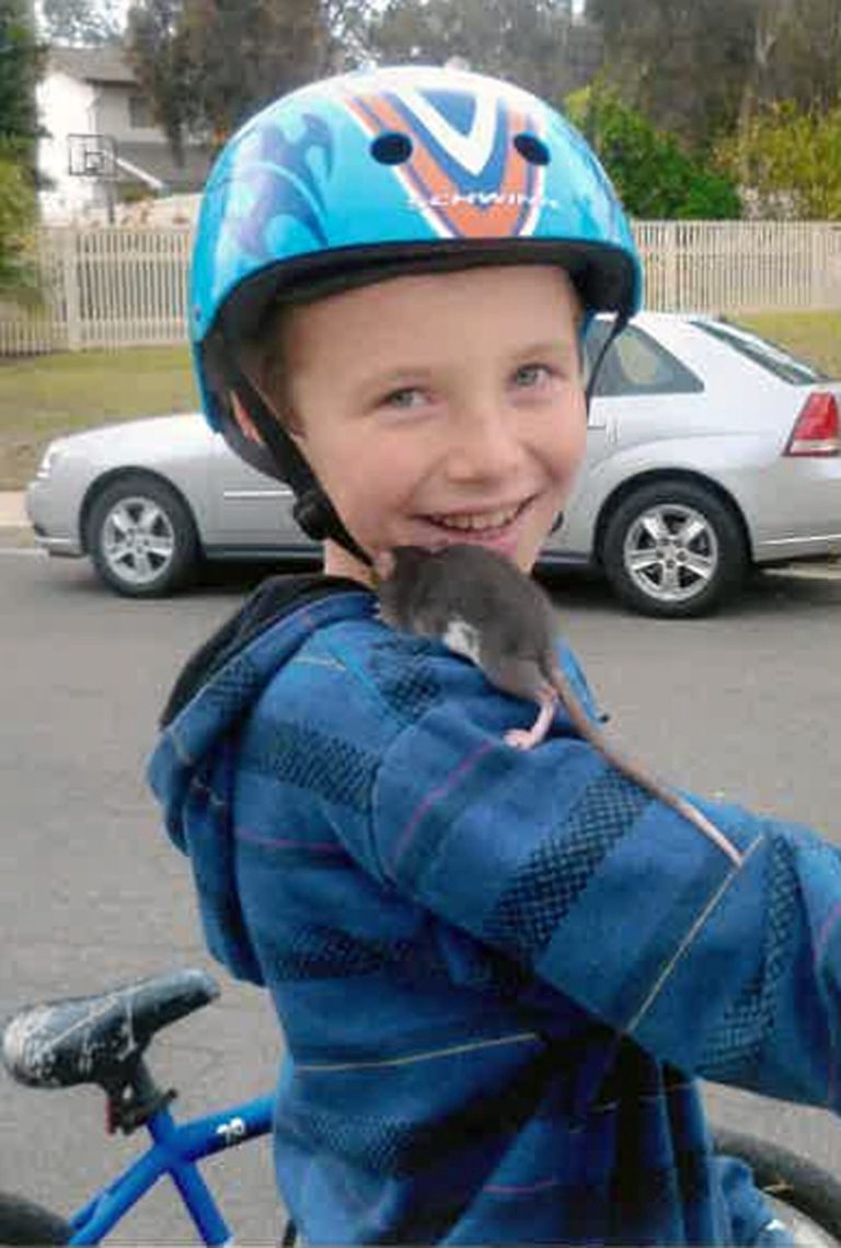 This undated photo released by Gomez Trial Attorneys courtesy the Pankey family, shows Aidan Pankey and one of his pet rats. Lawyers representing the Pankey family have filed a lawsuit against Petco Animal Supplies Inc., saying Aidan died from rat-bite fever contracted from a male rat purchased at one of the national chain's stores. (AP Photo/Courtesy Pankey Family)