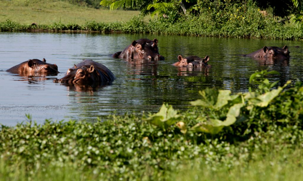 U.S., Cuba sign conservation memo
