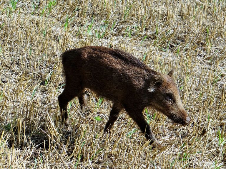 Prufrock: Marvel’s Progressive Bet, Slurpee Waves, and Kurt Vonnegut’s Complete Stories