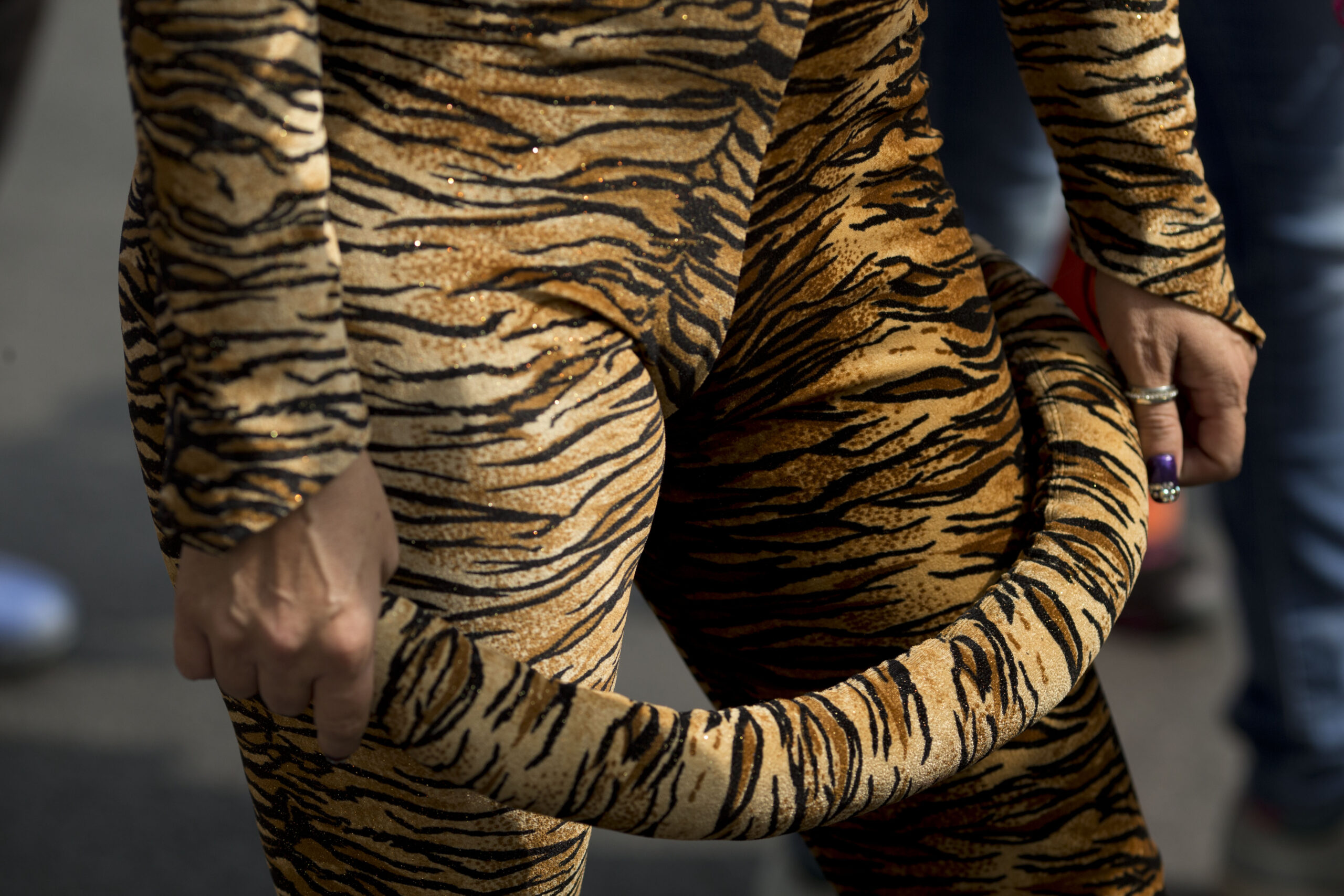 Circuses send in the clowns over Mexico animal ban