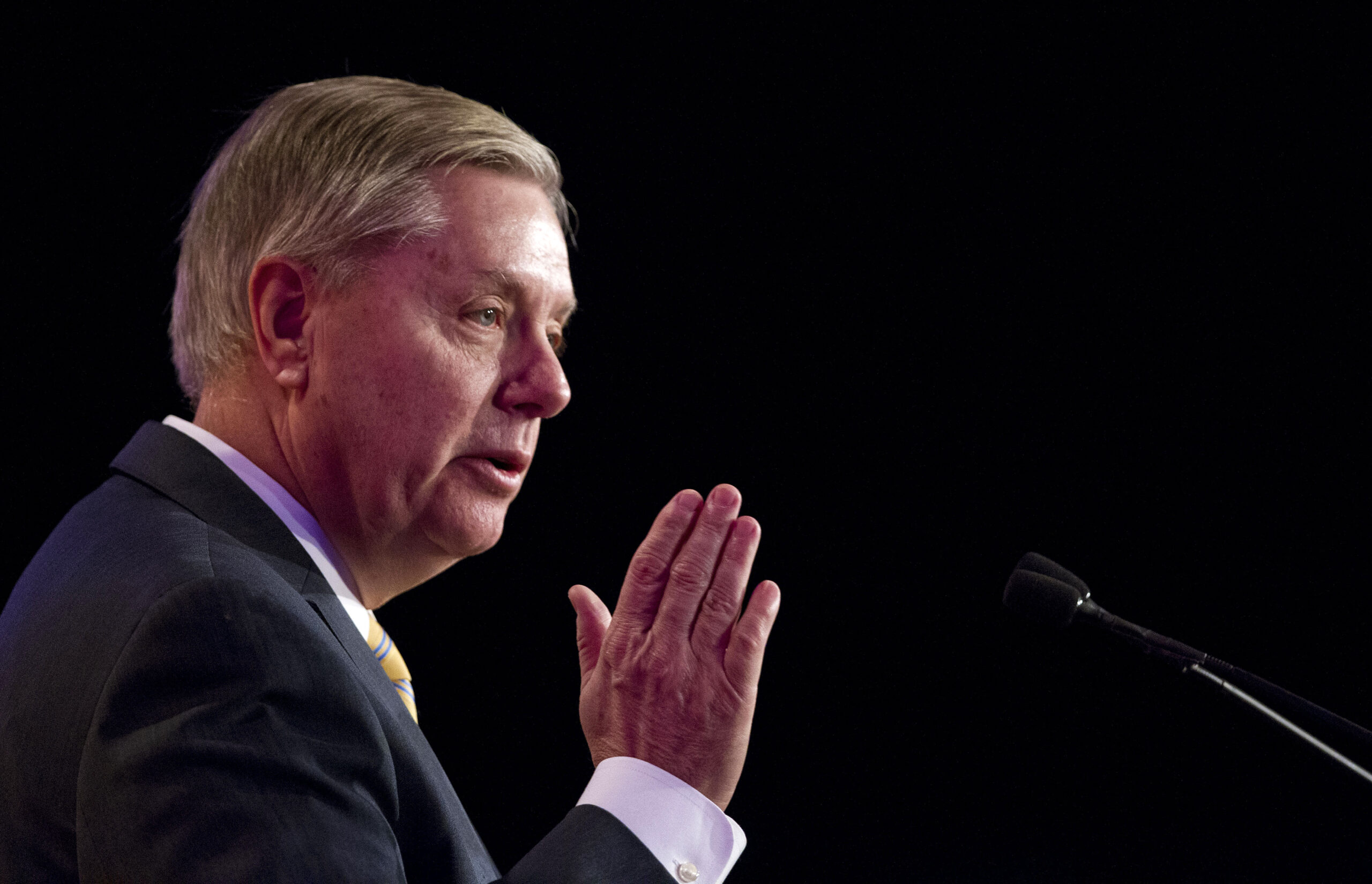 Your stories from the Washington Examiner