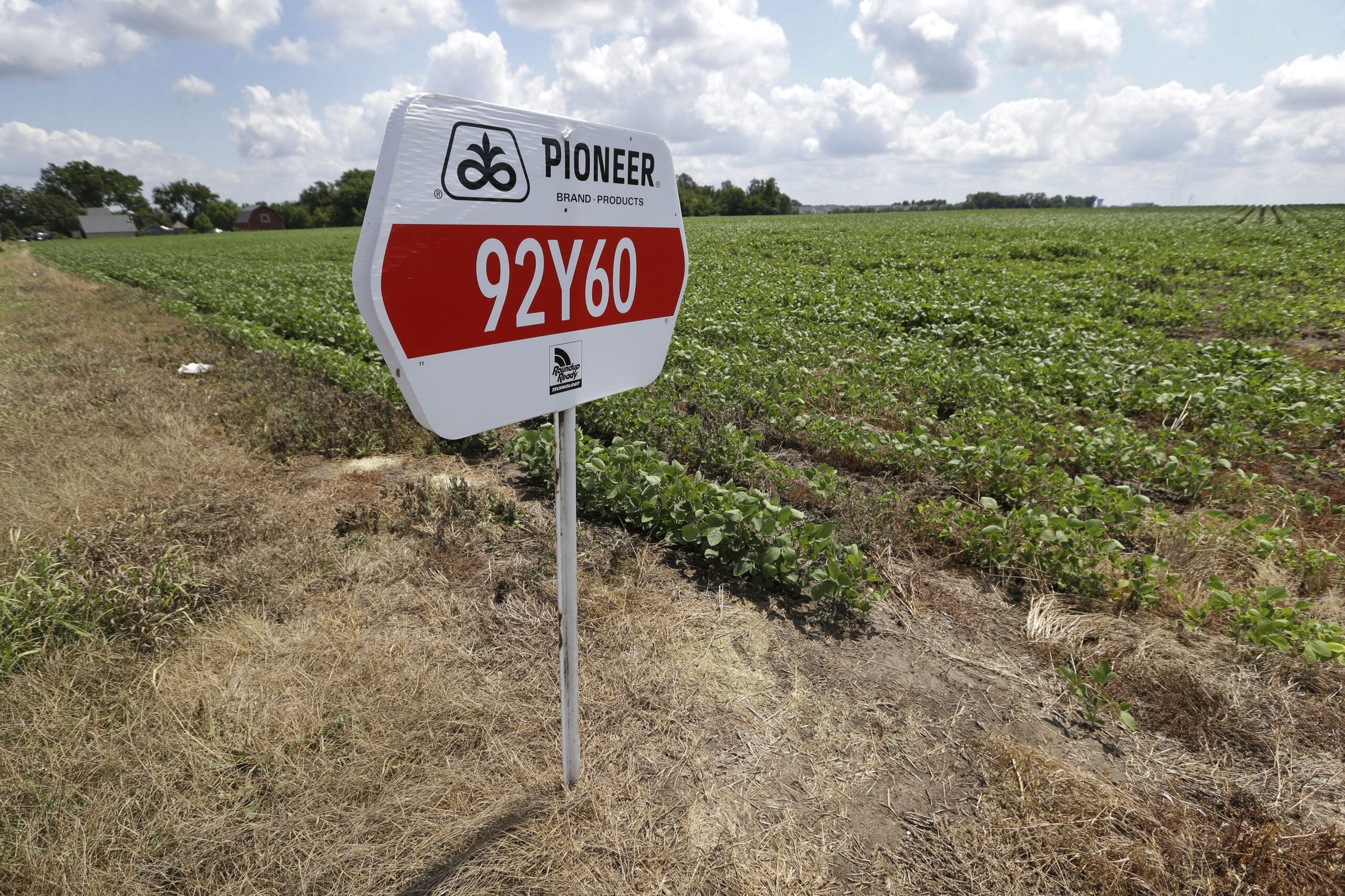 DuPont’s 4Q profit tops view, plans $5B buyback