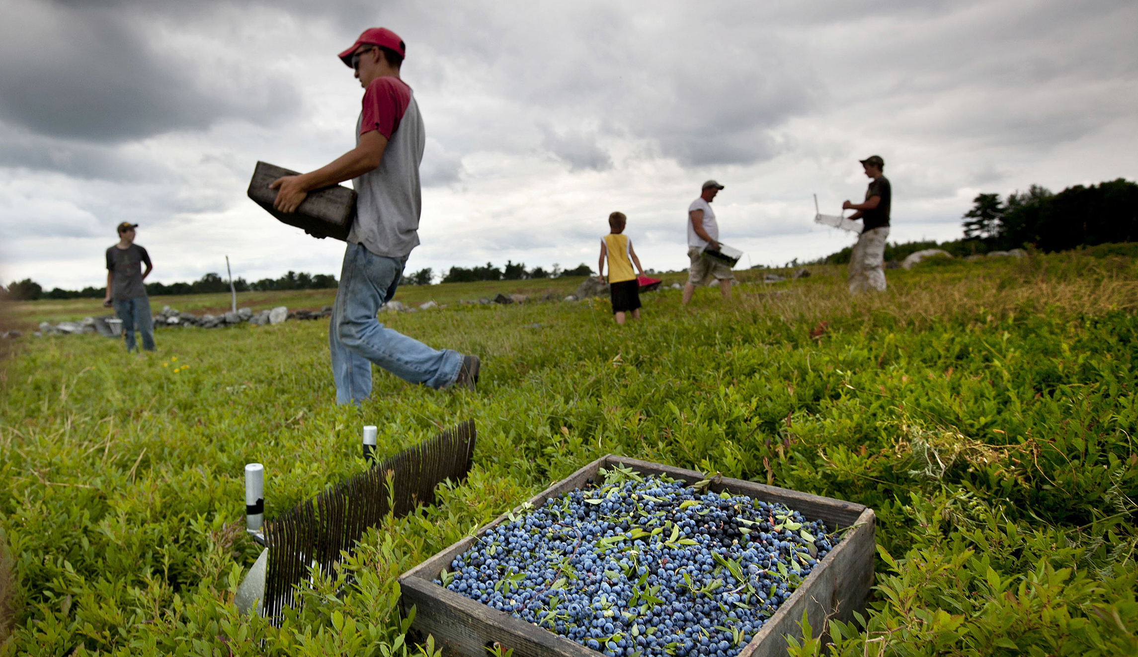Agriculture industry wants few changes to NAFTA
