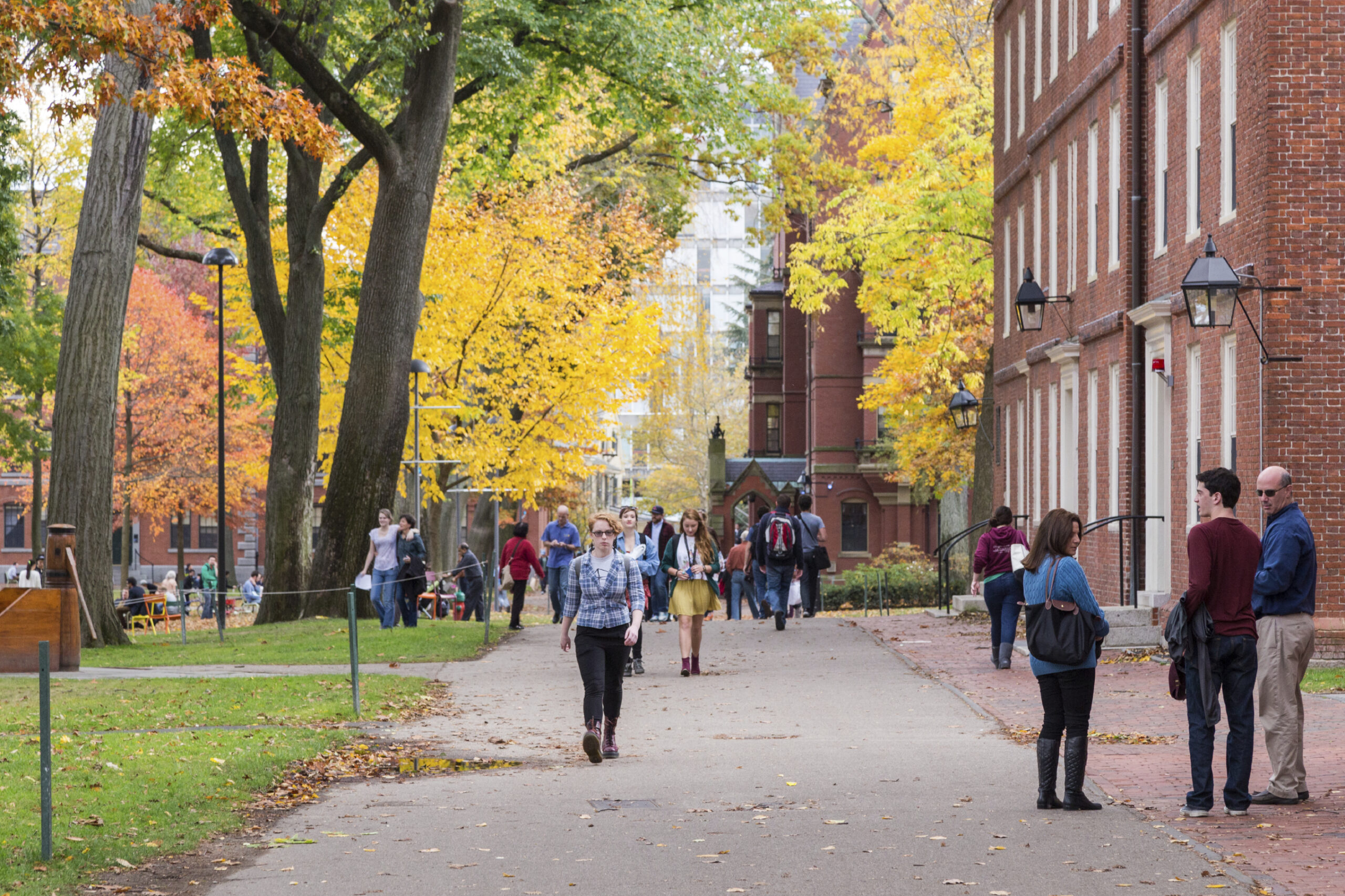 We’ve reached peak absurdity when it comes to campus sexual assault