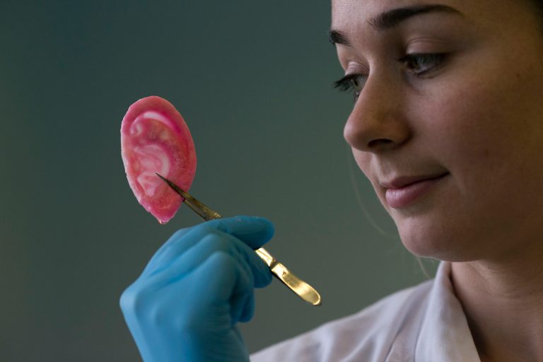 UK scientists make body parts in lab