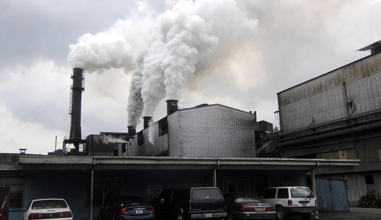 The Clean Power Plan directs each state to cut greenhouse gas emissions a third by 2030. (AP Photo/Steve Mitchell)