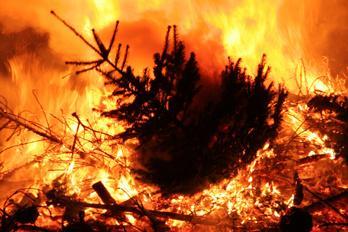 DHS: Beware of flammable holiday decorations