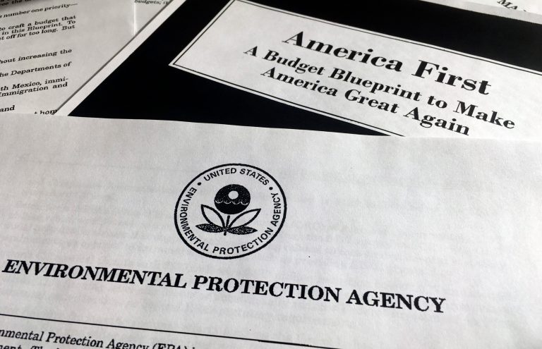 The Environmental Protection Agency said Friday it no longer will sponsor an awards program to recognize leaders in addressing climate change. (AP Photo/Jon Elswick)