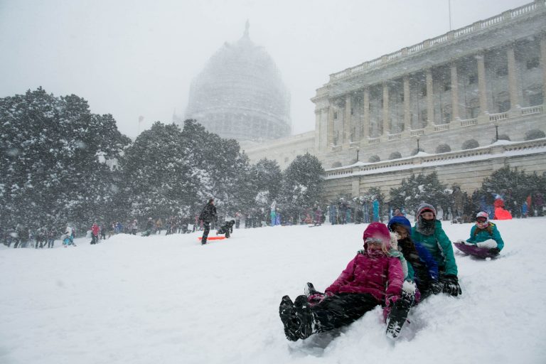 After a 15-year-old ban is lifted, locals' lawful sledding returns to the West Front. (Graeme Jennings/Washington Examiner)