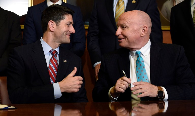 What if Paul Ryan and Kevin Brady get their way and the border adjustment tax reform bill goes to the Senate for approval? (AP Photo/Susan Walsh)