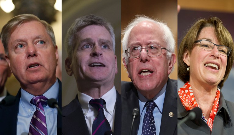 The senators debate healthcare policy ahead of a vote on Graham and Cassidy's bill to overhaul Obamacare. (AP Photo/Pablo Martinez Monsivais)