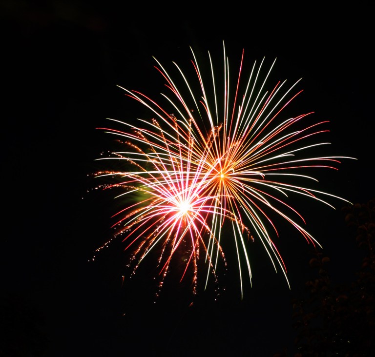 First family fireworks photo-op canceled by the White House