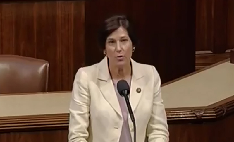 GOP congresswoman has 67 ideas to improve national security