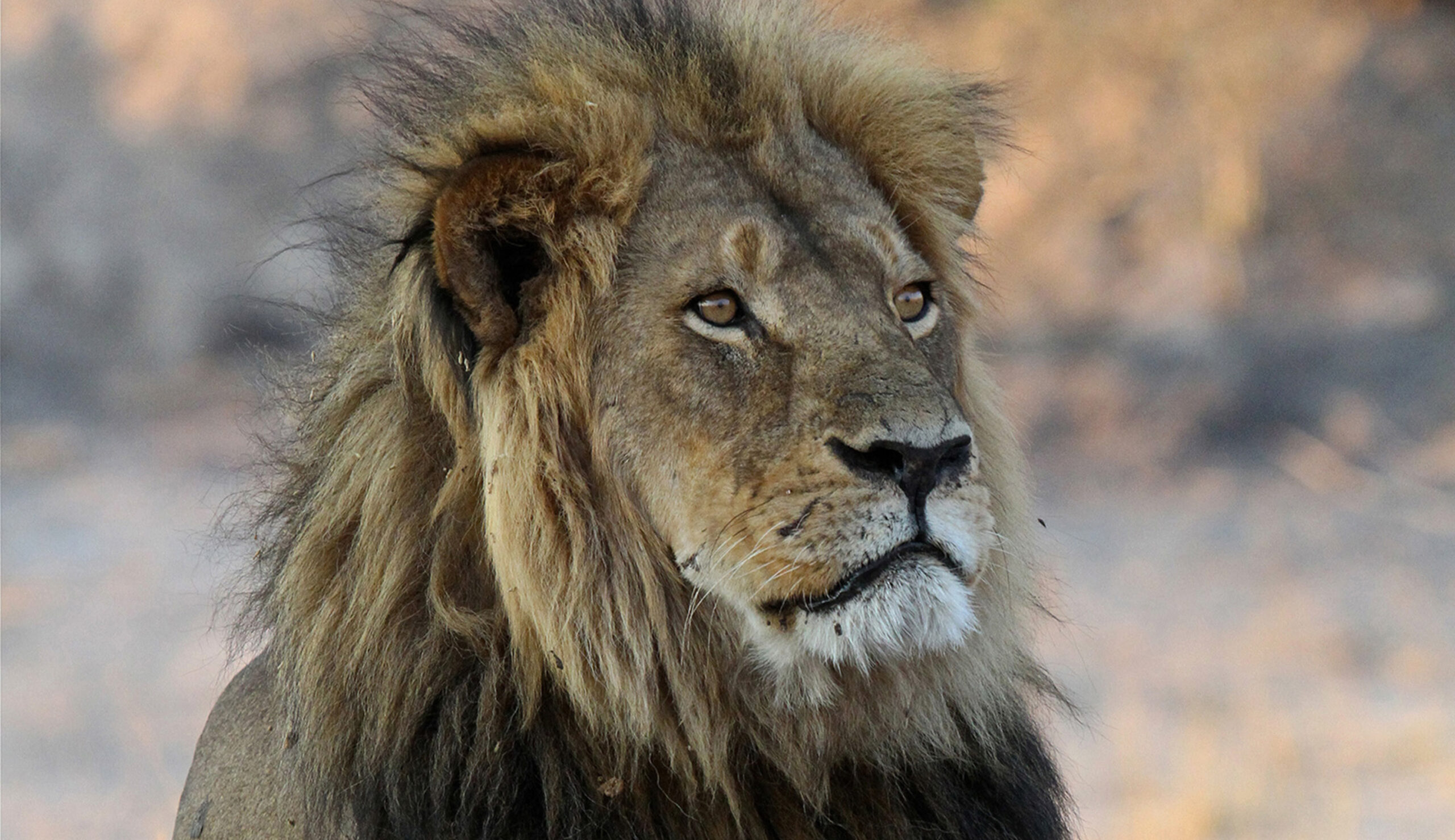 CECIL Act would destroy local conservation programs