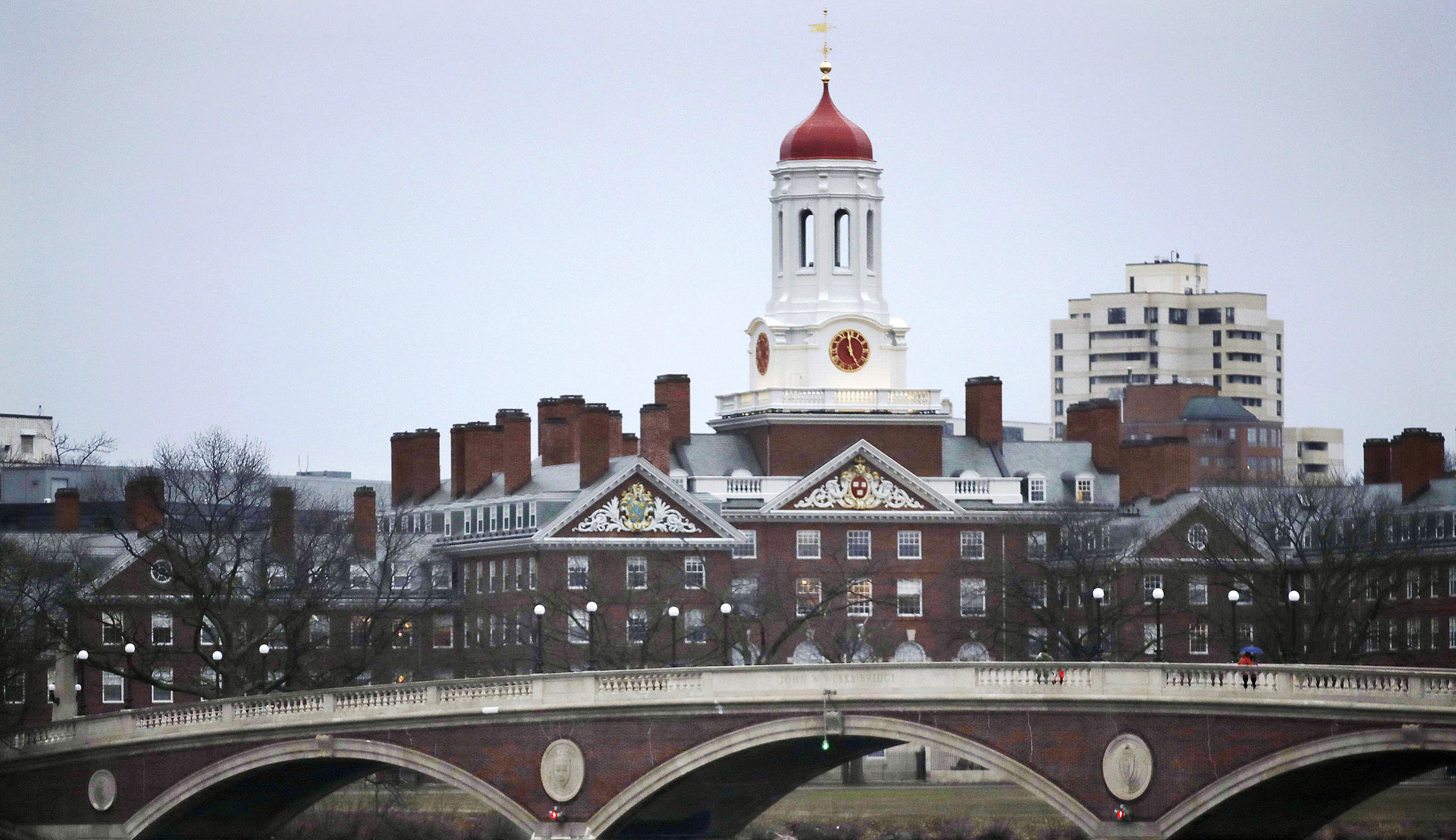 The Cuban-born Harvard economist who immigration critics love