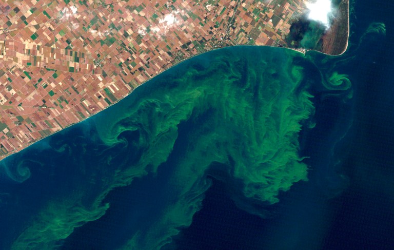 This Oct. 5, 2011 satellite photo from a NASA website shows algae blooms swirling on Lake Erie. A study released Monday, April 1, 2013 said the warming climate and modern farming practices are creating ideal conditions for gigantic algae formations on Lake Erie. The shallowest and southernmost of the Great Lakes, Erie contains just 2 percent of their combined waters but about half their fish. (AP Photo/NASA)