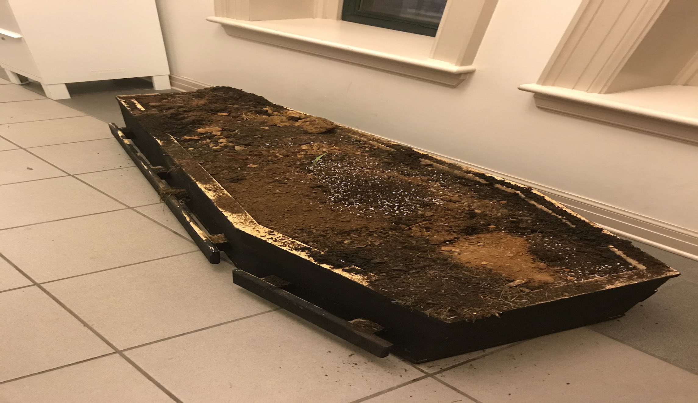 Protesters deliver casket filled with cow manure and dirt to police following Breonna Taylor charging decision