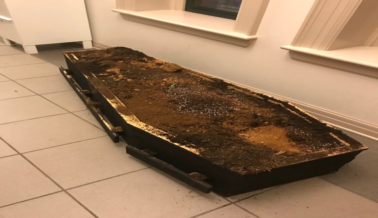 Protesters deliver casket filled with cow manure and dirt to police following Breonna Taylor charging decision