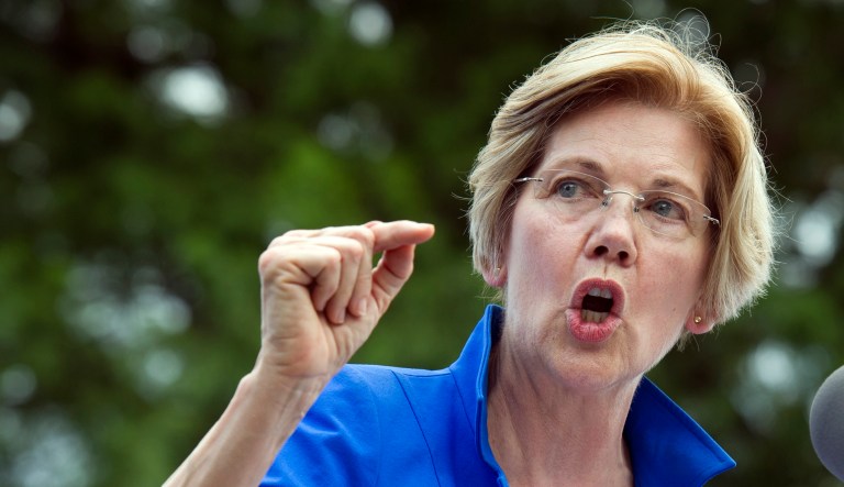 Sen. Elizabeth Warren, D-Mass. speaks in a park in Berryville, Va., on July 24, 2017, where Congressional Democrats unveiled their new agenda.