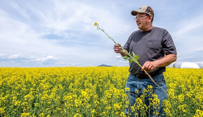 A potential biodiesel bonanza