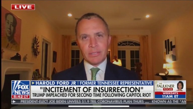 Fox News guest slammed over picture of Mao in background during live appearance