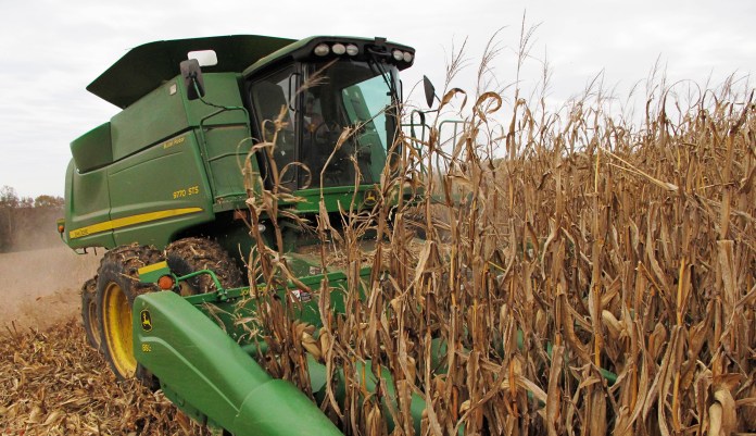 In this Nov. 5, 2013 photo, Bill Bass, 63, harvests corn on acreage near the southern Illinois town of Cobden. Bass is among scores of farmers throughout the region and the rest of the nation's Corn Belt who in recent years have benefited from pulling millions of acres of farmland out of a federal conservation program and putting it back into corn production, partly to profit from grain prices sent higher by America's demand for ethanol.