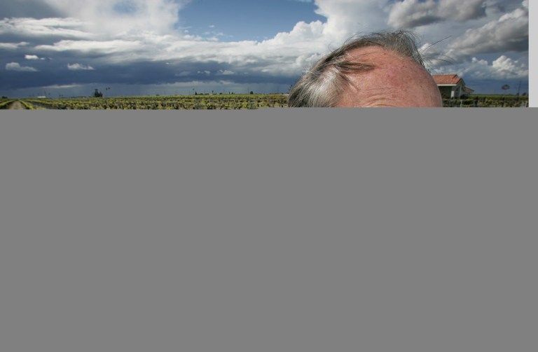Raisin farmer Marvin Horne stands in a field of grapevines planted in 1918 next to his home April, 10, 2006 in Kerman, Calif. (AP Photo)Â 