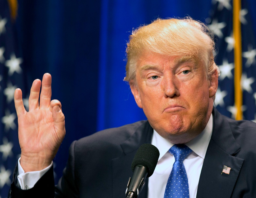 Making the establishment great again