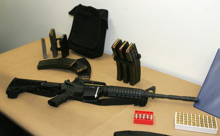   FILE - This March 27, 2006 file photo, shows a Bushmaster AR-15 semi-automatic rifle and ammunition on display at the Seattle Police headquarters in Seattle. The maker of the Bushmaster rapid-fire weapon used to kill schoolchildren in Connecticut on Friday, Dec. 14, 2012, was put up for sale on Tuesday, Dec. 18, 2012, as investors soured on the gun business. (AP Photo/Ted S. Warren, File)  