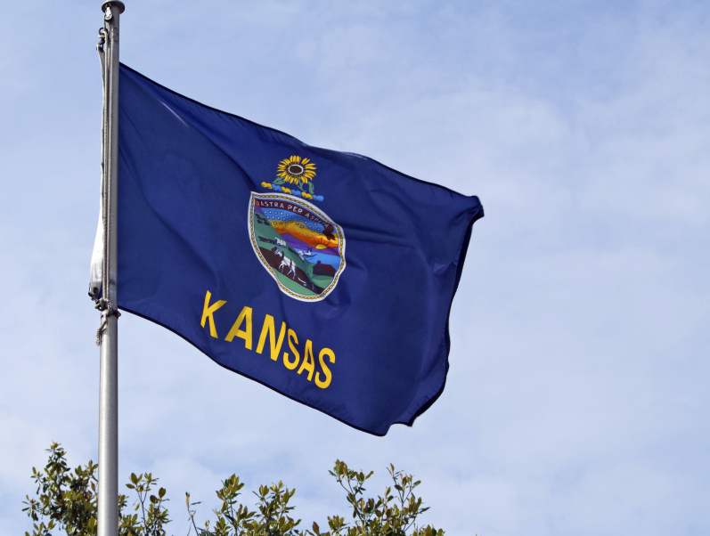 This state incorrectly gave $41 million in childcare benefits to ineligible families