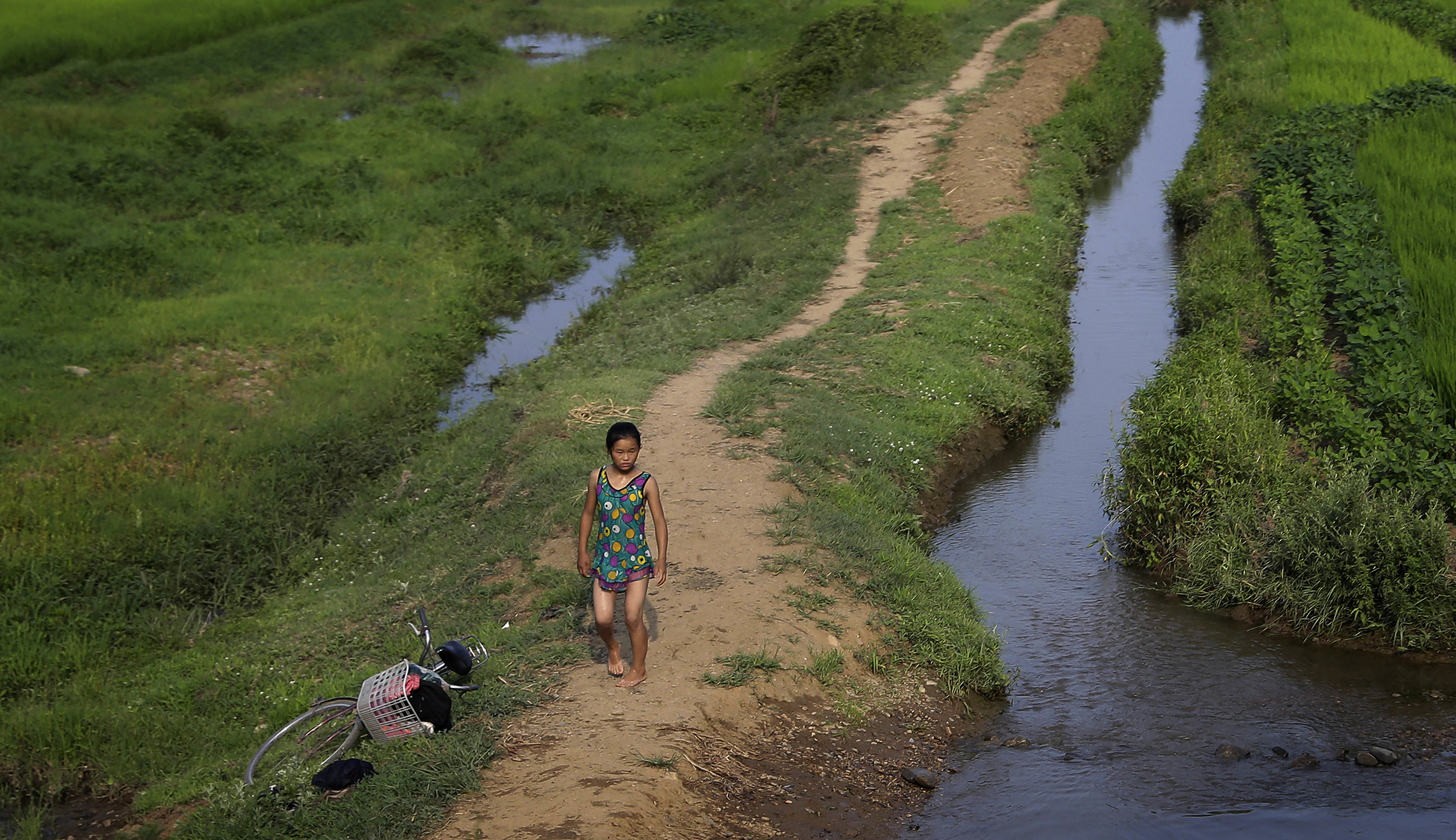 North Koreans are infested with parasites