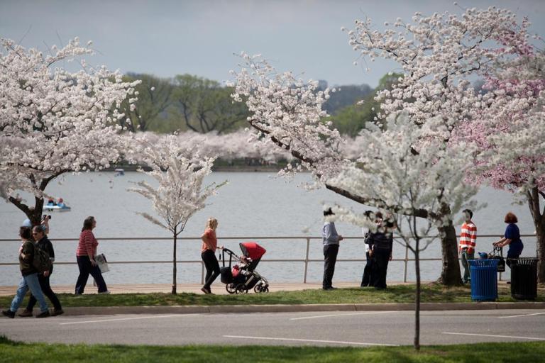 Study: National Mall a nearly $800 million annual payday for D.C.