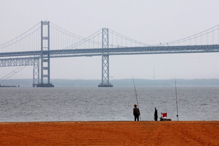 FILE - In this Wednesday, May 12, 2010, file photo, a man looks out over the Chesapeake Bay, with the Bay Bridge in the background, at Sandy Point State Park in Annapolis, Md. A federal court is deciding whether the Obama administration's plan to clean up the Chesapeake Bay watershed oversteps legal bounds, an election-year appeal by farmers and 21 attorneys general that could shape future U.S environmental policy. (AP Photo/Jacquelyn Martin, File)
