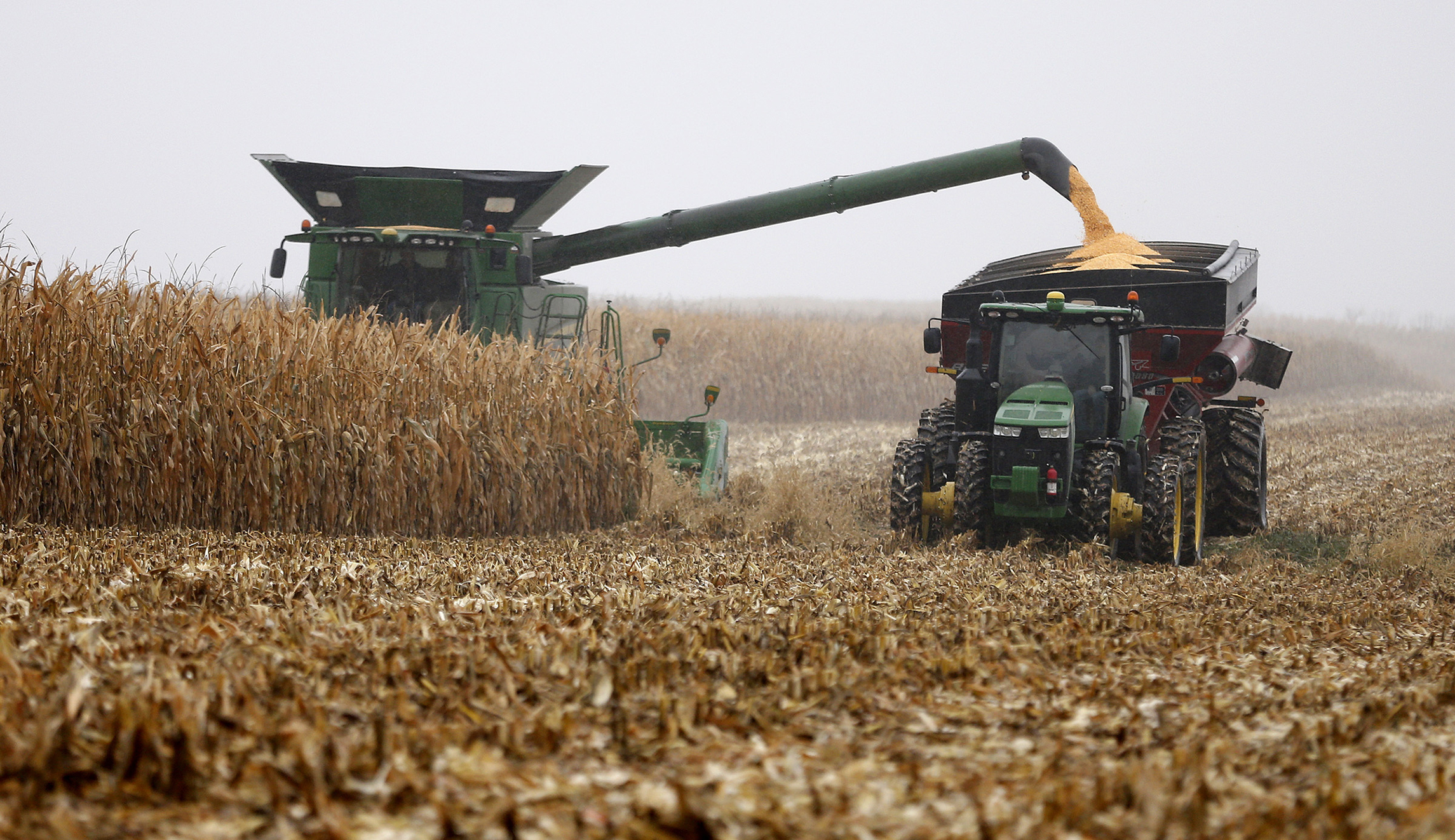 Why do environmentalists want us to invade Poland?