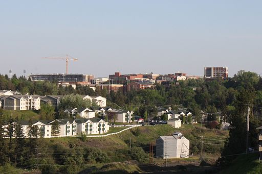 Washington State University administrators stepped in and told the professors that they could not ban the words nor punish students for using such language. (Wikimedia Commons)Â 