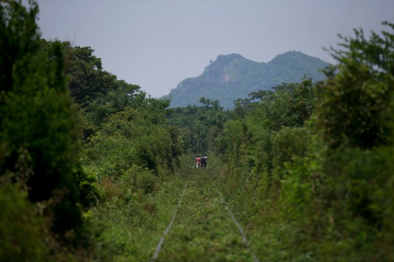 Central American migrants walk along overgrown train tracks several kilometers outside Arriaga in Chiapas state, Mexico, as they wait for a northbound freight train, Tuesday, Aug. 26, 2014. A Mexican federal official says the government plans to improve railway surveillance and increase the speed of northbound trains in hopes of deterring Central American migrants from riding on top of freight cars. (AP Photo/Rebecca Blackwell)