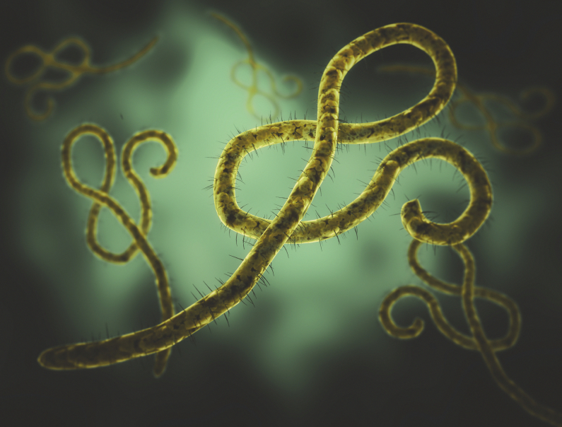 Updated: Dead Fort Hood soldier tests negative for Ebola
