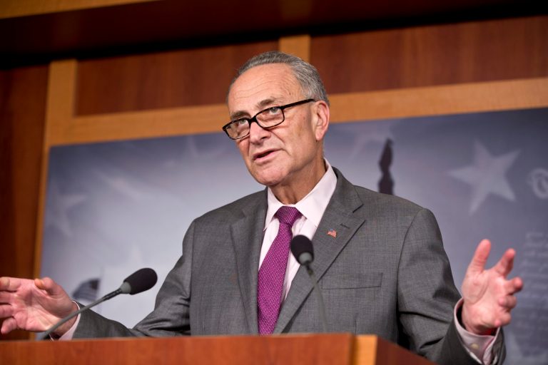 As the expiration of a ban on plastic guns draws nearer, the House voted in favor of a ten-year extension of the law as Sen. Chuck Schumer, D-N.Y., pressed for new language directly targeting 3-D printed plastic guns. (AP/J. Scott Applewhite)