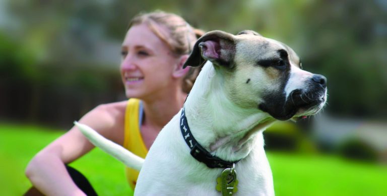 In field fight, animals divide Fairfax County residents