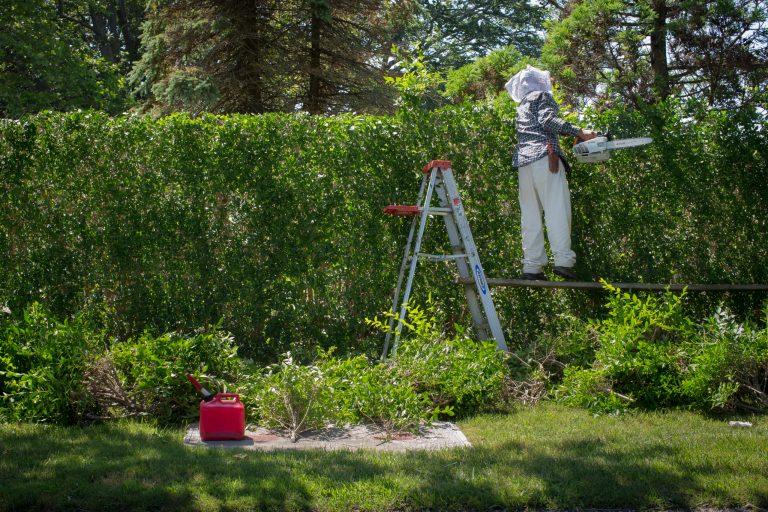 In this photo taken on Friday, July 11, 2014, a landscaper shapes hedges on private property in Southampton, N.Y. Studies show the gap separating the rich from the working poor has been ever-widening in recent years and few places provide that evidence as starkly as Long Island's Hamptons. (AP Photo/John Minchillo)