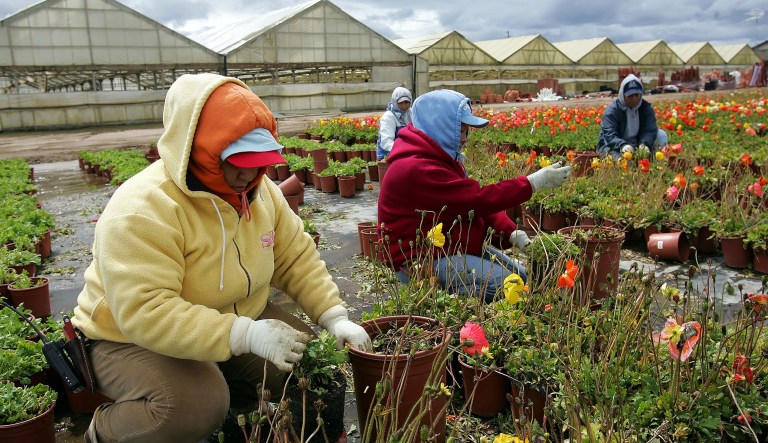 Immigrants don't come to the United States for welfare, they come to work. (AP Photo/Marcio Jose Sanchez)