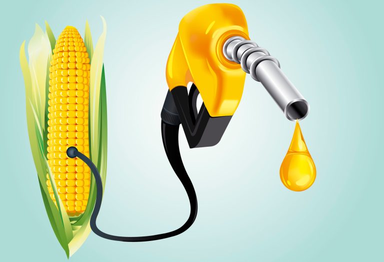 The EPA proposed cuts to the ethanol mandate in November. OMB is reviewing the proposal. (iStock)