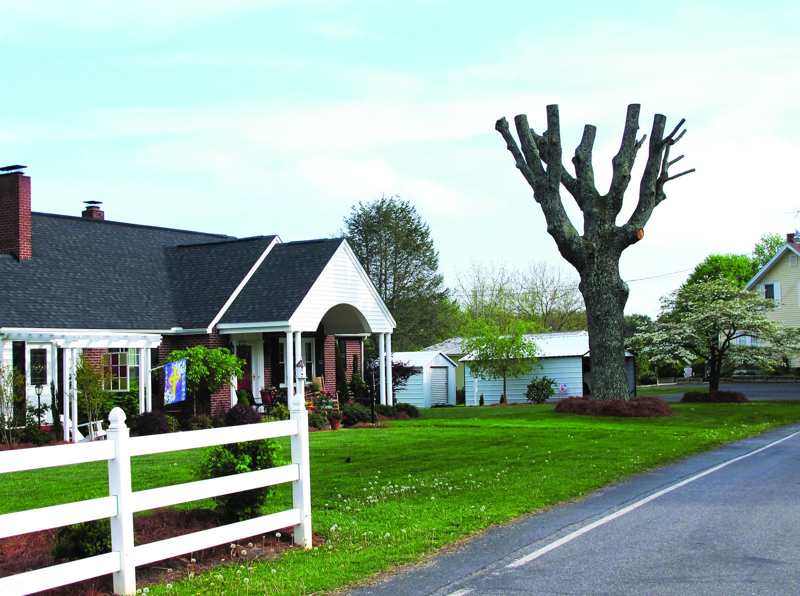 When it comes to topping trees, leaf well enough alone