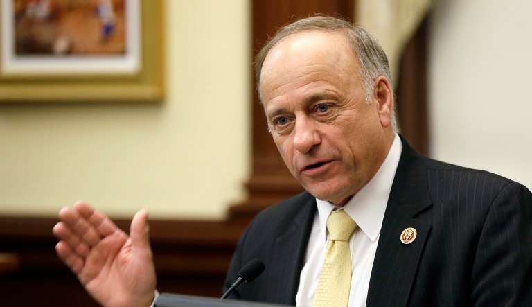 The Iowa Republican called Democrats hypocrites for being willing to shut down the government over a different issue. (AP Photo/Charlie Neibergall, File)